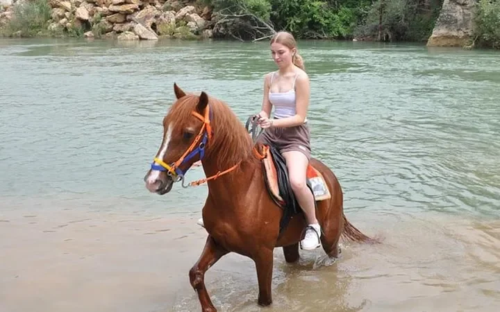 Reiten ab Türkler – Ausritt durch Wald und Berge – 3