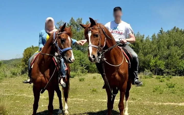 Reiten ab Türkler – Ausritt durch Wald und Berge – 5