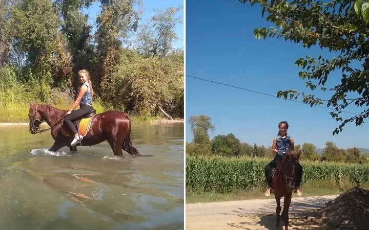 Reiten ab Türkler – Ausritt durch Wald und Berge – 2
