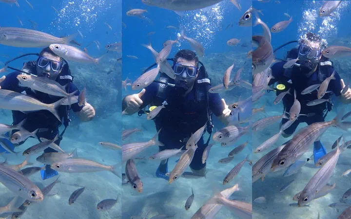 Buceo desde Türkler para principiantes y buceadores – 3