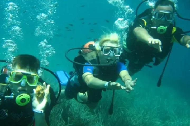 Buceo desde Türkler para principiantes y buceadores – 2