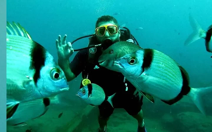 Alanya Scuba Diving Trip for Beginners & Divers