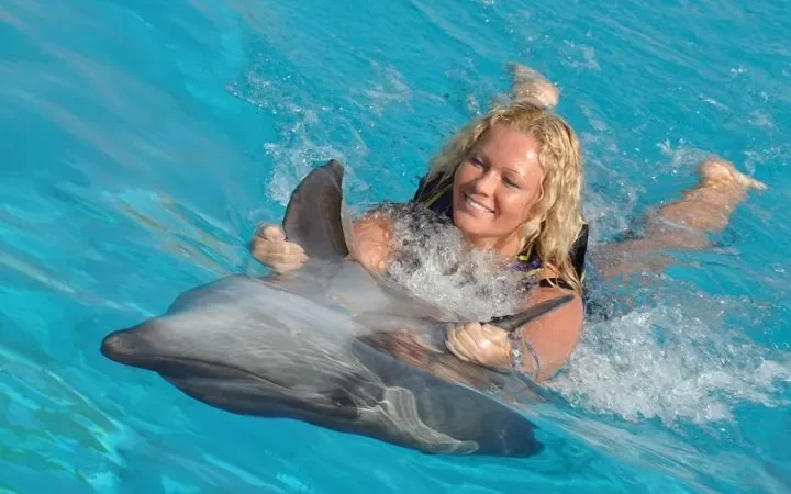 Nager avec les dauphins depuis Türkler (Sealanya) – 2