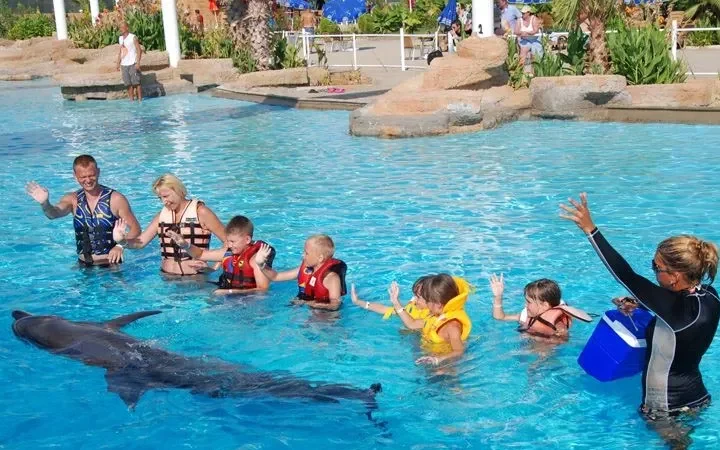 Swim with Dolphins in Alanya (Sealanya)