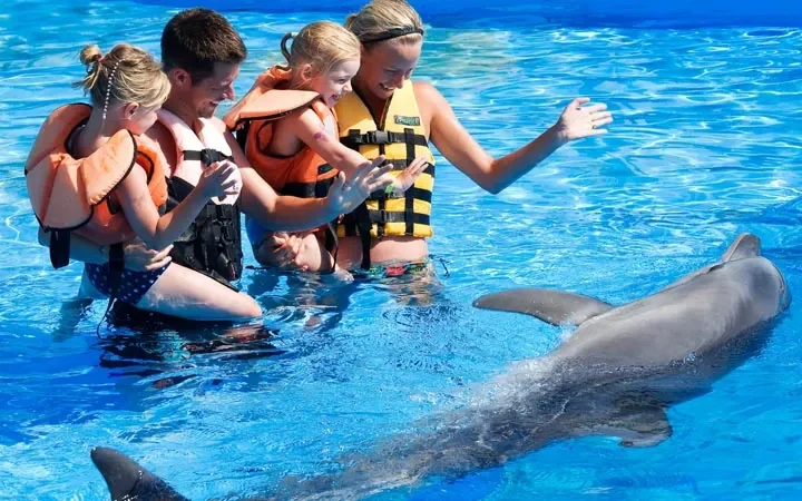 Nager avec les dauphins depuis Türkler (Sealanya) – 5