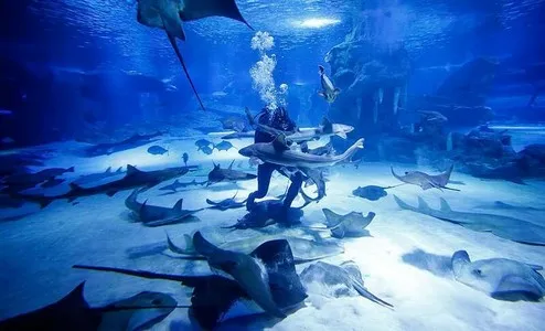 Acuario de Antalya – gran túnel acuático y tiburones