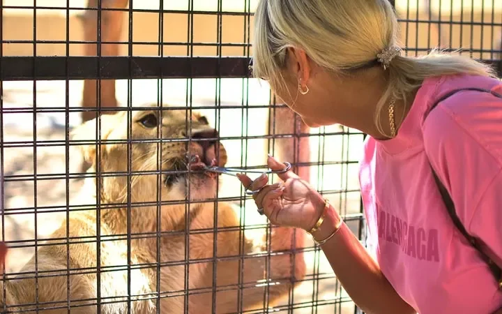Zoo & Löwenpark – Halbtagesausflug ab Türkler – 2