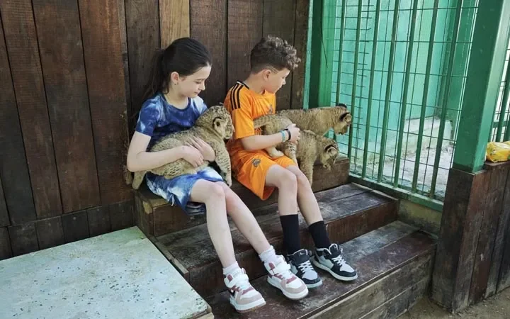 Zoo & Löwenpark – Halbtagesausflug ab Türkler – 3