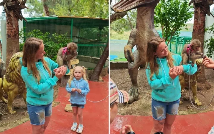 Zoo & Löwenpark – Halbtagesausflug ab Türkler – 5